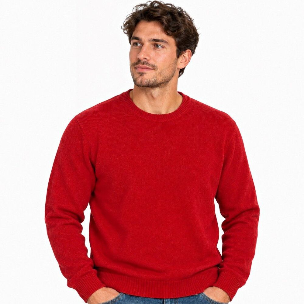 Ivy Crew Men’s Large Red 100% Cotton Crewneck Knit Sweater Pullover Preppy Y2K